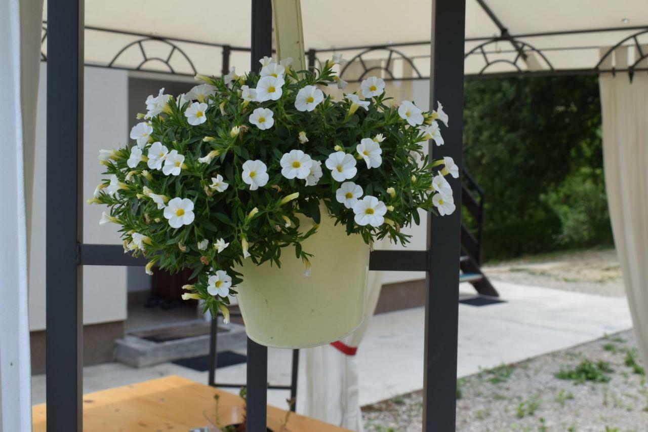Apartmani Husko Tuheljske Toplice Exterior foto
